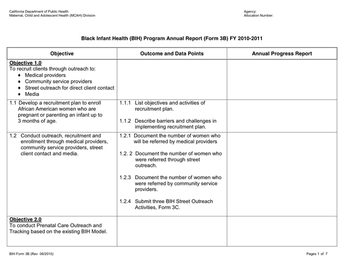 BIH Annual Report Form In Word And Pdf Formats