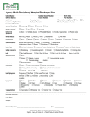 Agency multi-disciplinary hospital discharge plan page 1 preview