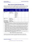 After Action Report Template