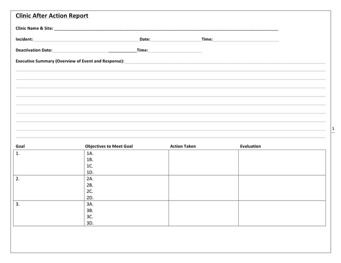 Clinic After Action Report Template In Word And Pdf Formats