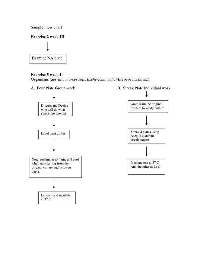 flow-chart-in-word-and-pdf-formats