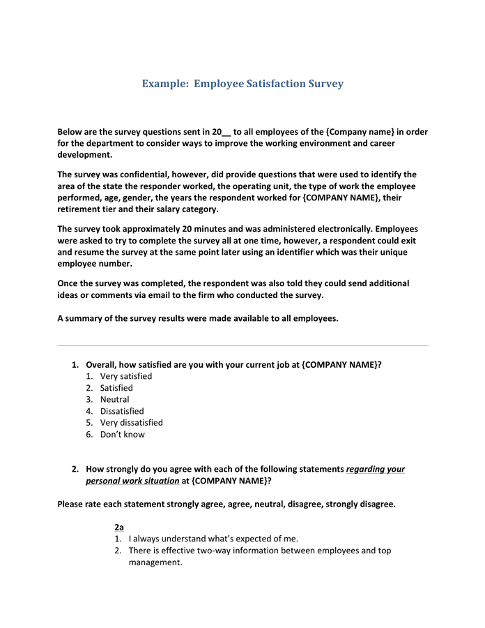 Employee Satisfaction Survey Example In Word And Pdf Formats