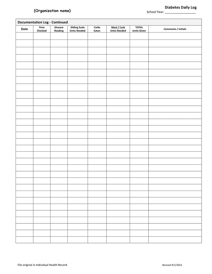 diabetes-daily-log-template-in-word-and-pdf-formats-page-2-of-2