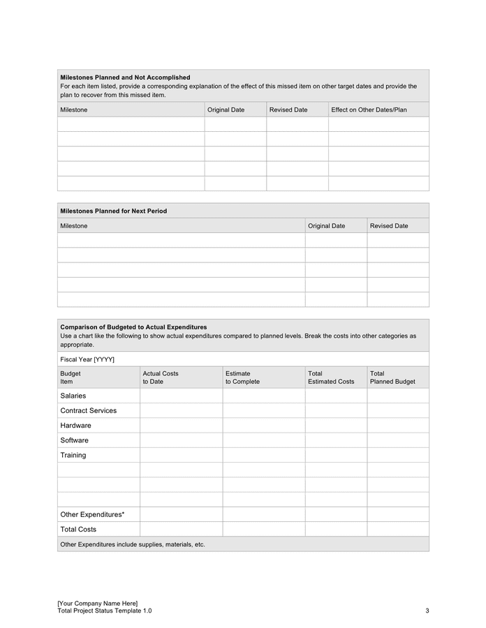 Total project status template in Word and Pdf formats - page 3 of 4