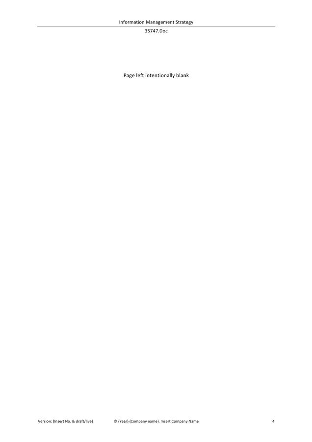 Information management strategy template in Word and Pdf formats - page ...