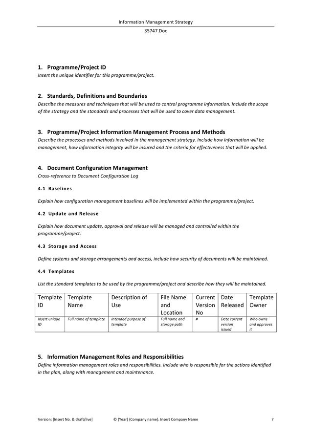 information-management-strategy-template-in-word-and-pdf-formats-page