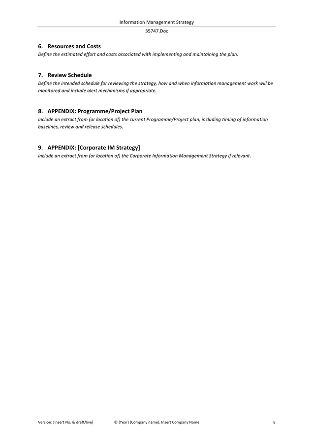 information-management-strategy-template-in-word-and-pdf-formats-page