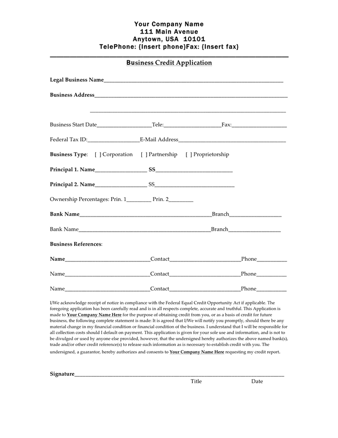 Business credit application form preview