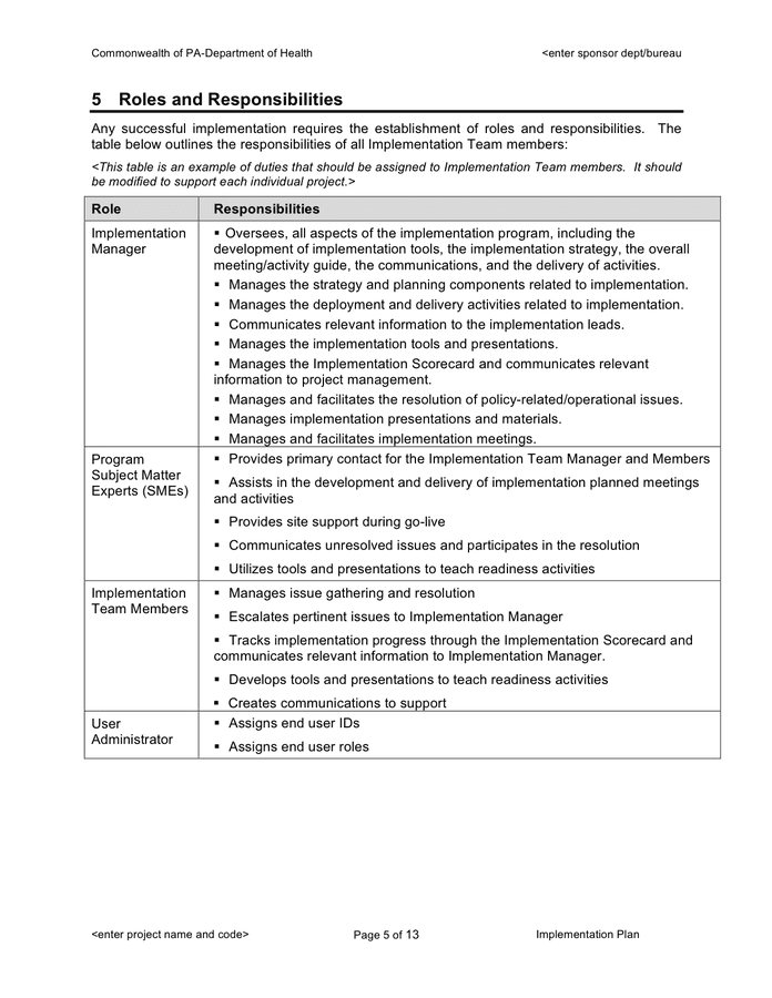 Project Implementation Plan Template In Word And Pdf Formats Page 8 Of 13 0350