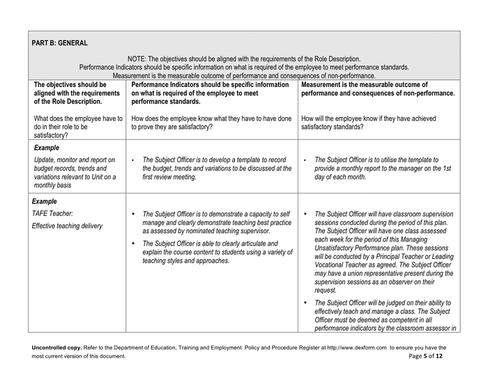 managing-unsatisfactory-performance-plan-in-word-and-pdf-formats-page