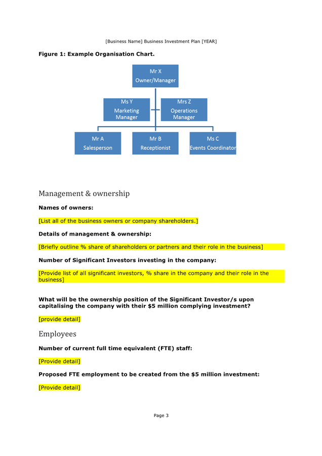 Business Investment Plan Template Australia In Word And Pdf Formats 