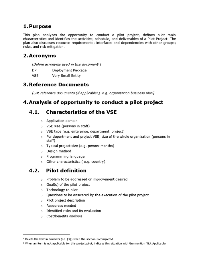 Project pilot plan template in Word and Pdf formats page 4 of 6