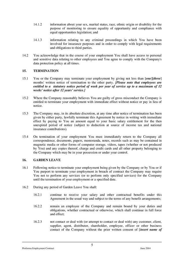 Contract of employment template in Word and Pdf formats - page 7 of 15
