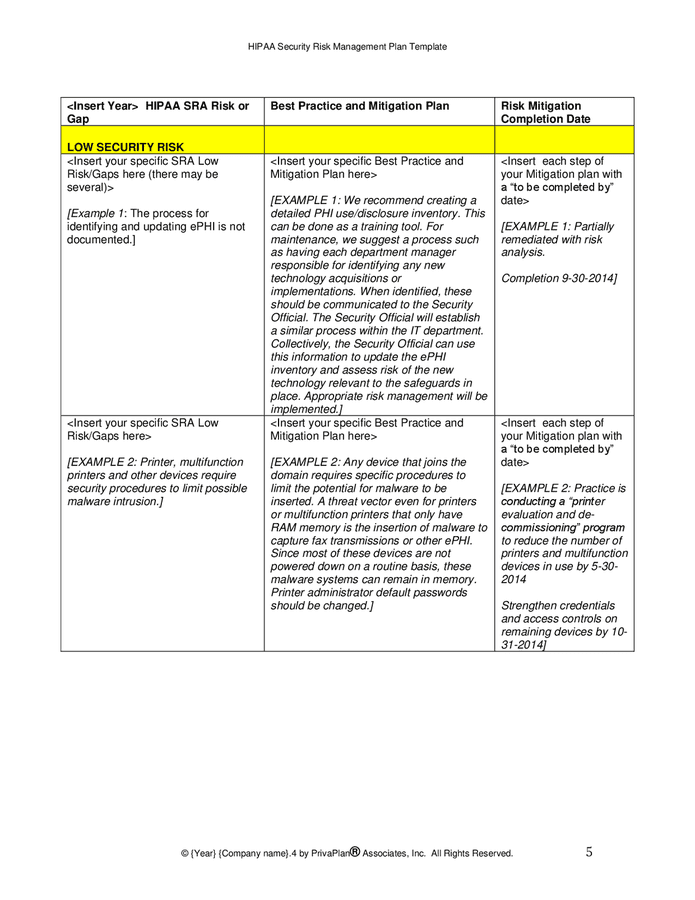 HIPAA security risk management plan template in Word and Pdf formats ...